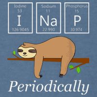 Funny Science Sloth Shirts I Nap Periodically Sloths Lovers Garment-Dyed Sweatshirt