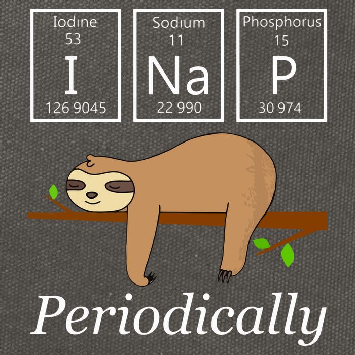 Funny Science Sloth Shirts I Nap Periodically Sloths Lovers Cotton Canvas Backpack