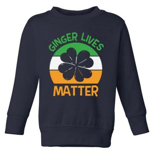 Flag Shamrock St Patricks Day Toddler Sweatshirt