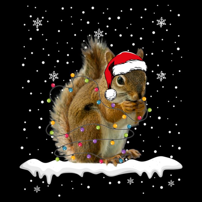Funny Santa Squirrel Christmas Lights Animals Lover Gift Backpack