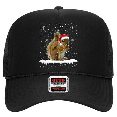 Funny Santa Squirrel Christmas Lights Animals Lover Gift Hat