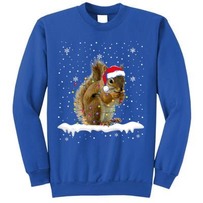 Funny Santa Squirrel Christmas Lights Animals Lover Gift Sweatshirt