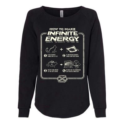 Funny Science Sarcasm Hypothesis Infinite Energy Loop Cat Womens California Wash Sweatshirt