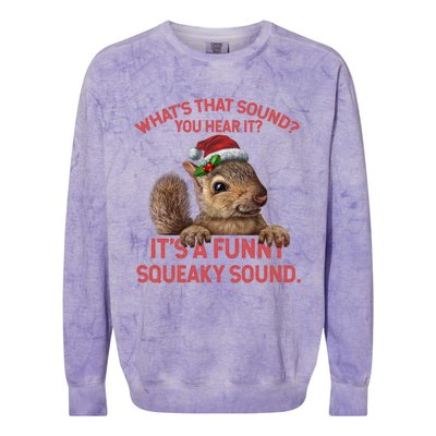 Funny Squeaky Sound Gift Christmas Squirrel Gift Colorblast Crewneck Sweatshirt