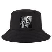Funny Surprised Scared Cat Selfie With Scowling Donkey Cool Comfort Performance Bucket Hat