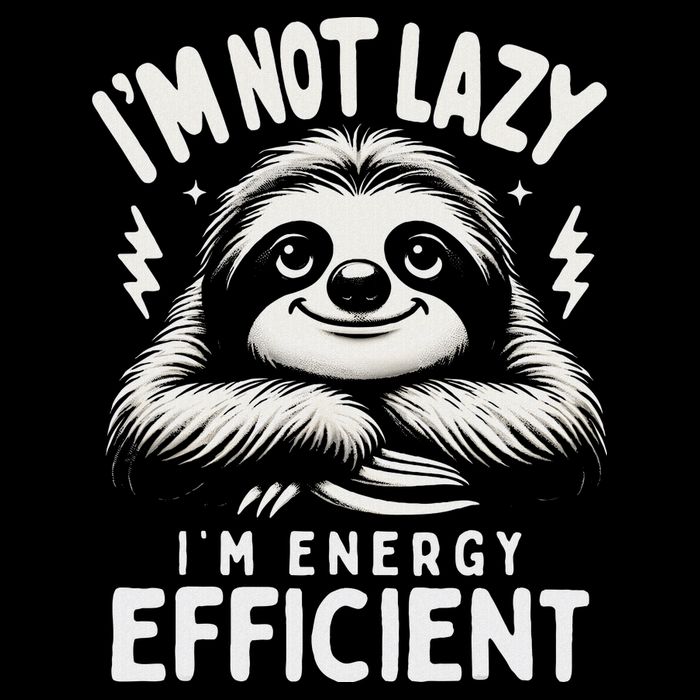 Funny Sloth Stuff IM Not Lazy Energy Efficient Nap Lovers Sweatshirt