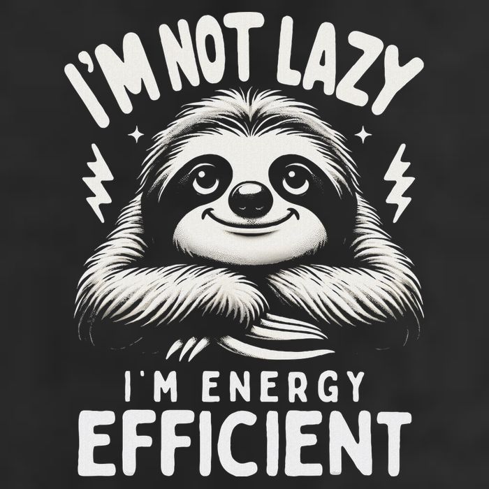 Funny Sloth Stuff IM Not Lazy Energy Efficient Nap Lovers 11oz C Handle Ceramic Mug