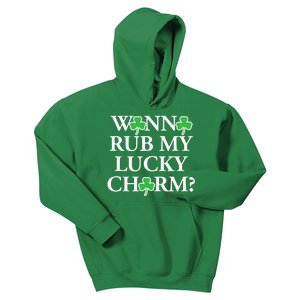 Funny Sexy St Patricks Day Clothing For Men Inappropriate Kids Hoodie