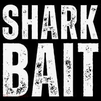 Funny Shark Shark Bait Womens T-Shirt