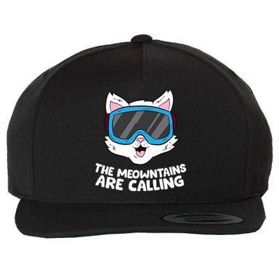 Funny Snowboard Ski Goggle For Snowboarding Cat Skiing Gift Wool Snapback Cap