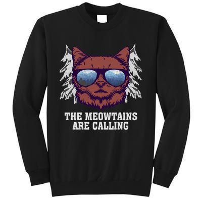 Funny Saying Ski Lover Mountain Skier And Cats Sweatshirt