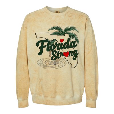 Florida Strong Support Florida Colorblast Crewneck Sweatshirt