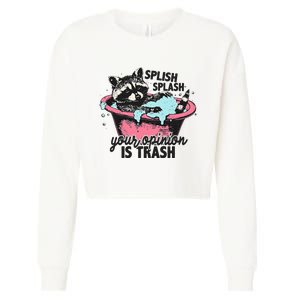 Funny Sarcastic Splish Splash Your Opinion Is Trash Raccoon Cropped Pullover Crew