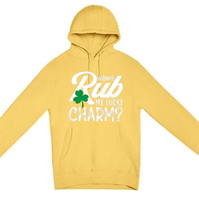 Funny Sexy St Patricks Day Clothing For Men Inappropriate Premium Pullover Hoodie