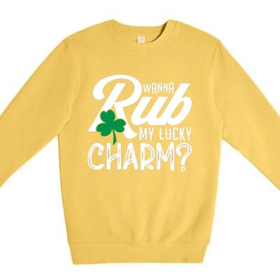 Funny Sexy St Patricks Day Clothing For Men Inappropriate Premium Crewneck Sweatshirt