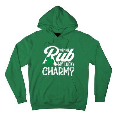 Funny Sexy St Patricks Day Clothing For Men Inappropriate Hoodie