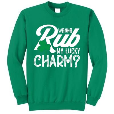 Funny Sexy St Patricks Day Clothing For Men Inappropriate Sweatshirt