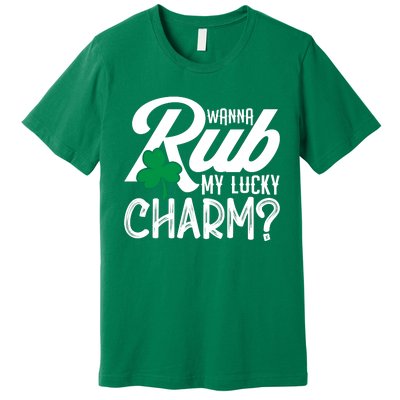 Funny Sexy St Patricks Day Clothing For Men Inappropriate Premium T-Shirt