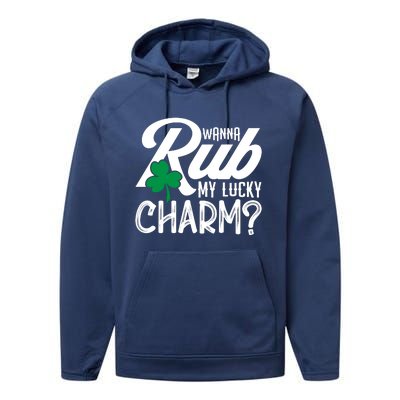 Funny Sexy St Patricks Day Clothing For Men Inappropriate Performance Fleece Hoodie