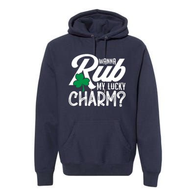 Funny Sexy St Patricks Day Clothing For Men Inappropriate Premium Hoodie