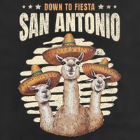 Fiesta Squad San Antonio Texas Cinco De Mayo Lets Fiesta 25L Jumbo Tote