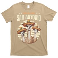 Fiesta Squad San Antonio Texas Cinco De Mayo Lets Fiesta T-Shirt