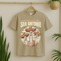 Fiesta Squad San Antonio Texas Cinco De Mayo Lets Fiesta T-Shirt