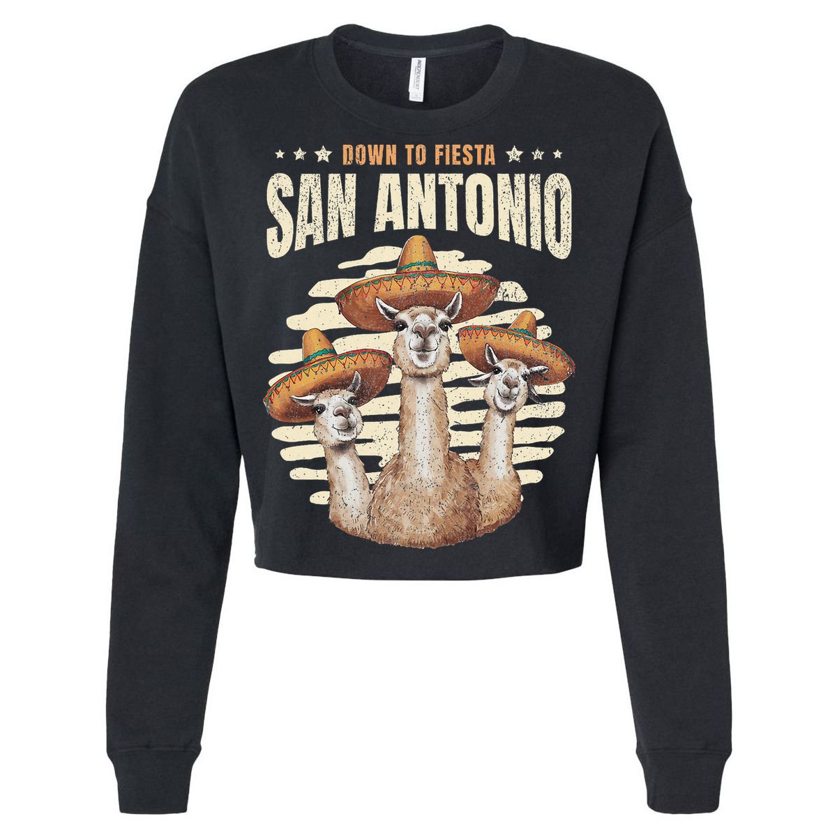 Fiesta Squad San Antonio Texas Cinco De Mayo Lets Fiesta T-Shirt