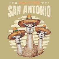 Fiesta Squad San Antonio Texas Cinco De Mayo Lets Fiesta T-Shirt