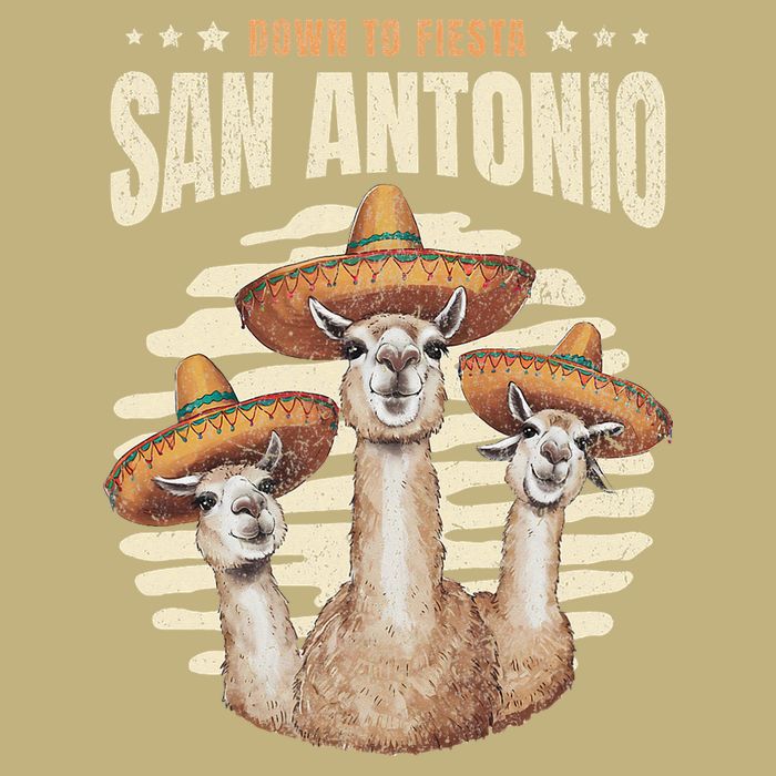 Fiesta Squad San Antonio Texas Cinco De Mayo Lets Fiesta T-Shirt