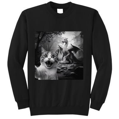 Funny Surprised Scared Cat Selfie With Dragon Sweatshirt