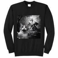 Funny Surprised Scared Cat Selfie With Dragon Sweatshirt