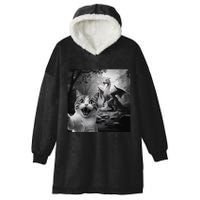 Funny Surprised Scared Cat Selfie With Dragon Hooded Wearable Blanket
