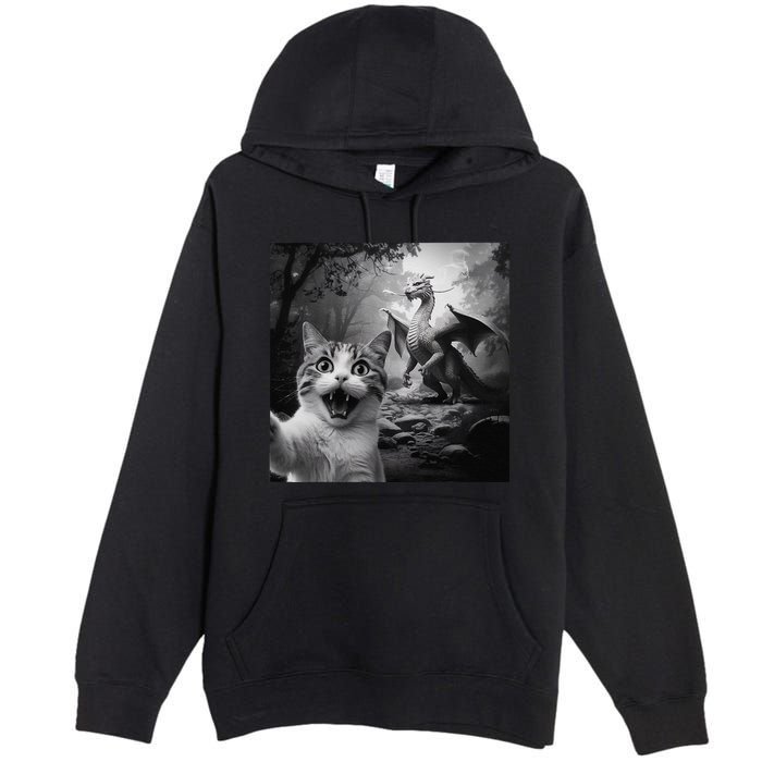 Funny Surprised Scared Cat Selfie With Dragon Premium Pullover Hoodie