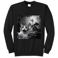 Funny Surprised Scared Cat Selfie With Dragon Tall Sweatshirt