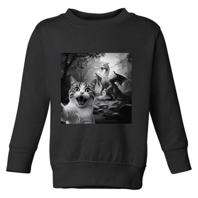Funny Surprised Scared Cat Selfie With Dragon Toddler Sweatshirt