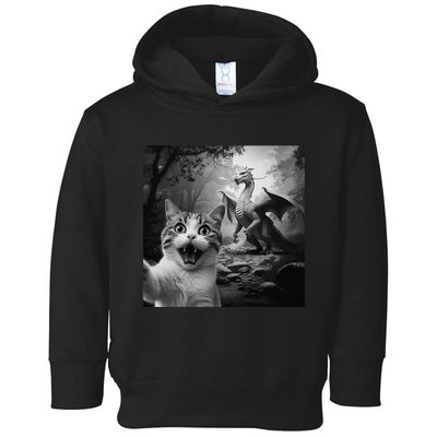Funny Surprised Scared Cat Selfie With Dragon Toddler Hoodie