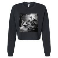Funny Surprised Scared Cat Selfie With Dragon Cropped Pullover Crew