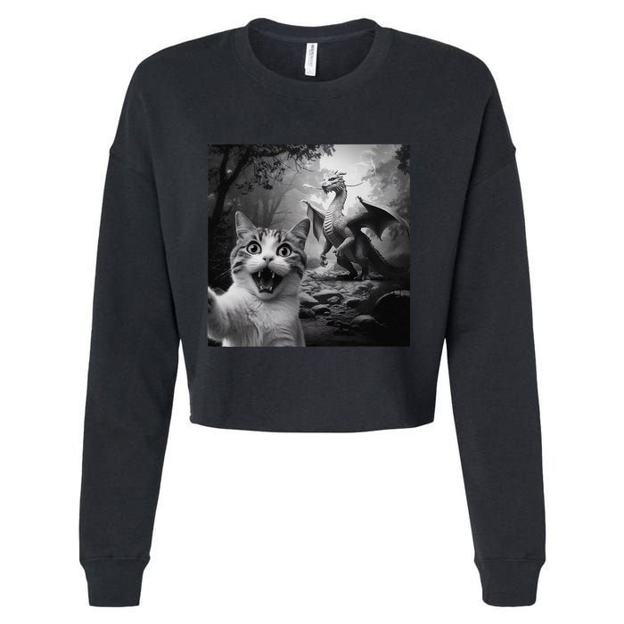 Funny Surprised Scared Cat Selfie With Dragon Cropped Pullover Crew