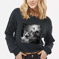 Funny Surprised Scared Cat Selfie With Dragon Cropped Pullover Crew