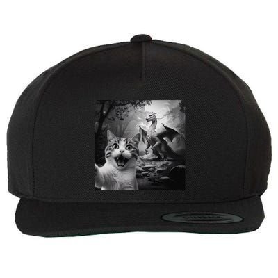 Funny Surprised Scared Cat Selfie With Dragon Wool Snapback Cap