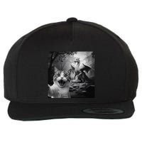 Funny Surprised Scared Cat Selfie With Dragon Wool Snapback Cap
