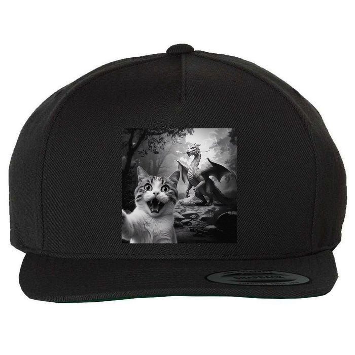 Funny Surprised Scared Cat Selfie With Dragon Wool Snapback Cap