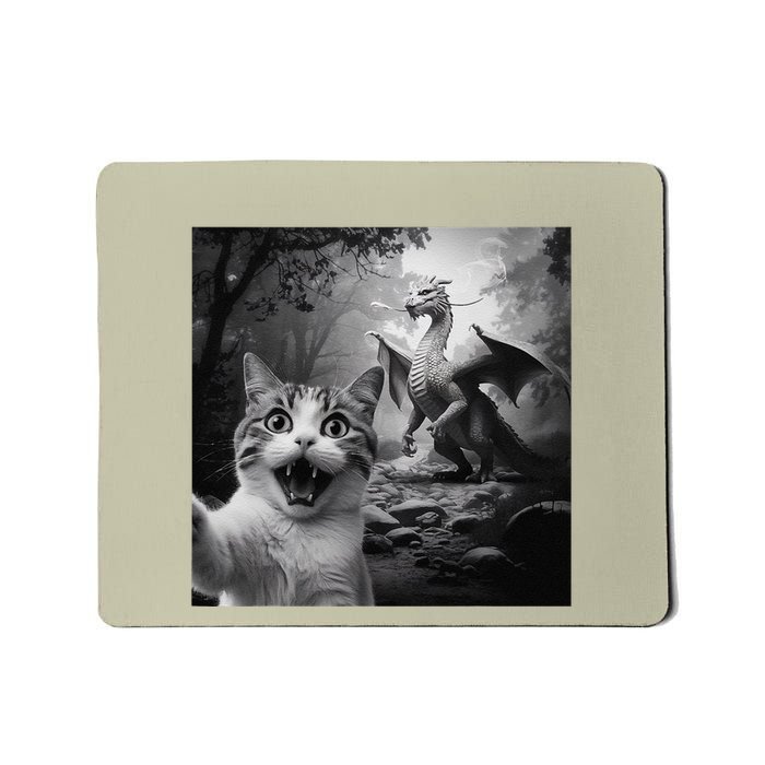 Funny Surprised Scared Cat Selfie With Dragon Mousepad