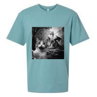 Funny Surprised Scared Cat Selfie With Dragon Sueded Cloud Jersey T-Shirt