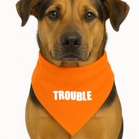 Funny Somebodys Trouble Matching Couple Family Shirts USA-Made Doggie Bandana