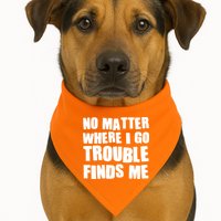 Funny Somebodys Trouble Matching Couple Family Shirts USA-Made Doggie Bandana