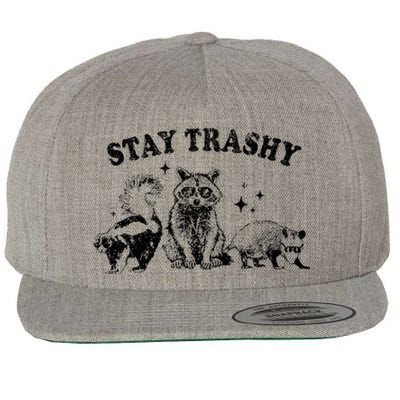 Funny Stay Trashy Raccoons Opossums Possums Animals Lover Wool Snapback Cap