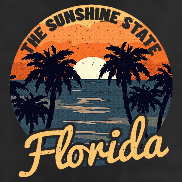 Florida Sunset Throwback Design Classic 11oz C Handle Ceramic Mug
