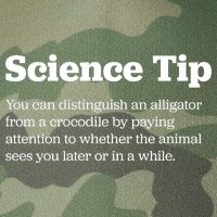 Funny Science Tip How To Distinguish A Alligator From A Crocodile Legacy Tie Dye Trucker Hat